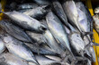 © Maurice Yom - Fresh fish stacked together representing local fisheries, seafood supply, and ocean harvest.