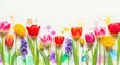 © Rocky - Colorful spring flowers arrangement with colorful arrangement decoration background splatter