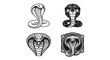 © dimas - Cobra Snake Head Illustrations - Striking and Detailed Vector Graphics.