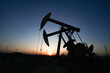 © Lijuan - Oil Pump Jack Silhouette at Sunset with High-voltage Towers