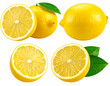 © wanna - Fresh set of ripe yellow lemons and juicy citrus fruit slices with green leaves isolated on a white background for a healthy organic food diet