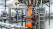 © Creativeraf - Automated shredded carrot packaging machine in food production factory