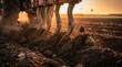 © PengAI - A close-up of tractor tines digging into rich soil during sunset, showcasing the beauty of agricultural work and the earth being turned.