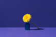 © ADDICTIVE STOCK - Yellow gerbera in blue bottle on purple background still life