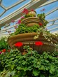 © 정민재 - Decorative Fountain in Greenhouse with Flowers 온실 속 분수와 꽃