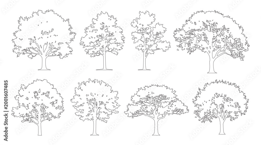Tree Layout Lines Minimal style cad spreading tree line drawing, Side view, set of ...
