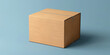 © Saifur - Plain Brown Cardboard Box on Light Blue Background