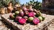 © Bernardo - Vibrant prickly pear fruit on stone market table