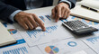© Salman - Business analysis with charts and calculator