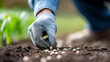 © Nataliya - Close-up of soil close-up with small seeds being pressed in by a gloved finger, seed sowing concept, spring planting detail, garden activity, defocused background, with copy space