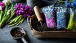 © Nataliya - Overhead view of seed packets, small trowel and soil on a dark background, spring planting preparation concept, garden hobby flat lay, with copy space
