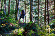 © Benedikt - Hiker with backpack walking through sunlit cedar forest on Shikoku Henro trail