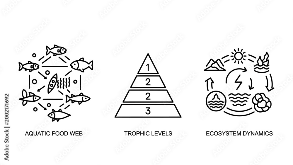 Aquatic food web trophic levels ecosystem symbols with food chain ...
