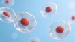 © 弘羊 桑 - Cellular structure with red nuclei