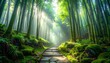 © Hashigo - 竹林の石段に差し込む朝の光 / Morning sun rays hitting stone steps in a bamboo forest (Generative AI)