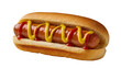 © Andrei - Isolated tasty grilled hot dog with yellow mustard and red ketchup on a golden bun.
