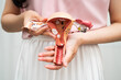 © amazing studio - Uterus, Asian woman holding human anatomy model.