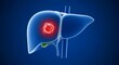 © Bagus Skak - Human Liver with Tumor Illustration Anatomy.