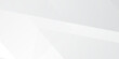 © SYAIFUL ANWAR - Abstract white and gray background. smooth abstract background, blurred pattern. illustration