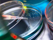 © Westend61 - Pipetting liquid into petri dish for medical research