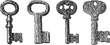 © Purple_Lamp - vintage antique keys collection various old metal keys with intricate designs and different shapes
