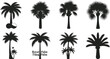 © Geography - Set of black palm tree silhouettes with different species such as royal and date palms for botanical illustrations and landscape architecture design silhouette tropical botanical landscape
