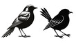 © GL Designs - Vector collection of plump robin bird shapes for nature design