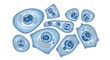 © PexelAura - Group of biological cells isolated on white background showing distinct nuclei detail.