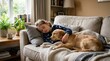 © Coosh448 - Girl in a onesie & her pet dog cuddling & sleeping on a sofa under a blanket, cozy home comfort scene with child & animal, warmth, rest, affection & family lifestyle in a soft relaxed interior,