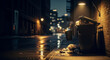 © Maryna - A dimly lit alley at night, showcasing a trash bin overflowing with garbage, reflecting urban life amidst soft streetlights and a rainy sidewalk.