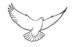 © Md Hifjul - Flying Dove, White Bird, Wingspan Illustration, Black Lines, Vector Icon