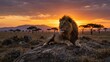 © Krunal - Majestic male lion resting on rocky outcrop at sunset on African savanna with golden glowing mane and dramatic orange sky