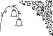 © Saidurra12 - black line drawing of flowers and leaves on white background