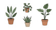 © Creative Transparent - Set of five potted plants for interior decor and gardening inspiration, suitable for home and office design