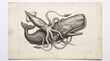 © Rajat - Vintage Engraving of Giant Squid and Sperm Whale Combat