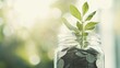 © Syazana - A seedling plant growing from a jar filled with coins, symbolizing financial growth and savings.