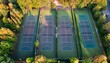 © Jessi - overhead view of multiple outdoor playing courts fences and trees