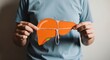 © SHALENA - Person holding a paper cutout of a human liver with a string tied around it, symbolizing liver health and pressure