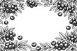 © UmmeHabiba - Detailed Hand Drawn Ink Blueberry Branch and Berry Frame Illustration. Vintage Botanical Engraving Style Border for Invitations, Packaging, Labels, and Organic Food Design. Black and White Art.
