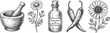 © Jahangir - Herbal medicine set mortar and pestle flowers chili peppers and bottle vintage engraving vector illustration