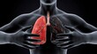 © Design Store - Human anatomy illustration detailed view of lungs and respiratory system against a dark background