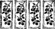 © smth.design - Monochrome vintage botanical illustration of fruit branches with leaves in decorative rectangular frames set