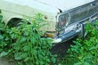 © FEDOR - The front part of an old white car with a chrome radiator grill and rust marks is partially hidden by tall grass and weeds. The photograph conveys the atmosphere of abandonment, long idleness
