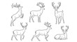 © Haley - Deer set, collection of hand-drawn vector sketches for wildlife design