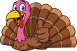 © Md - Cute Cartoon Turkey Character Giving Thumbs Up Isolated On White Background Thanksgiving Vector Illustration