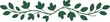 © MODU163 - Minimalist Floral Border Set with Elegant Leaf Branch Silhouettes