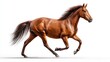 © MoodFrame - A powerful brown horse running gracefully against a clean white background