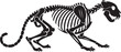© Sakib - Leopard skeleton in a stalking pose with big cat, animal skeleton