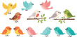 © MdLiton - Colorful Birds in Various Poses and Branches for Nature, Wildlife, and Animal Designs