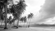 © aletia2011 - Black and white photo of palm tree lined beach with mountains and clouds